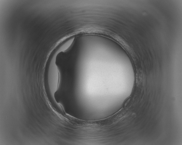 X0000082160438200702162238