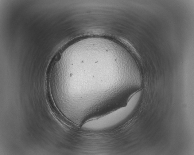 X0000082160439200702162238