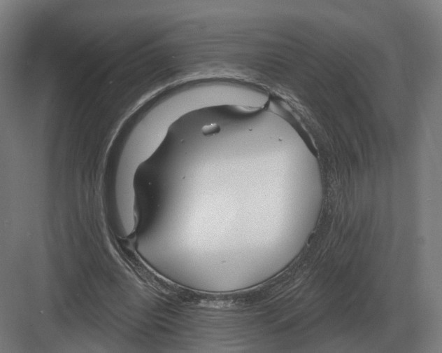 X0000082160440200702162238