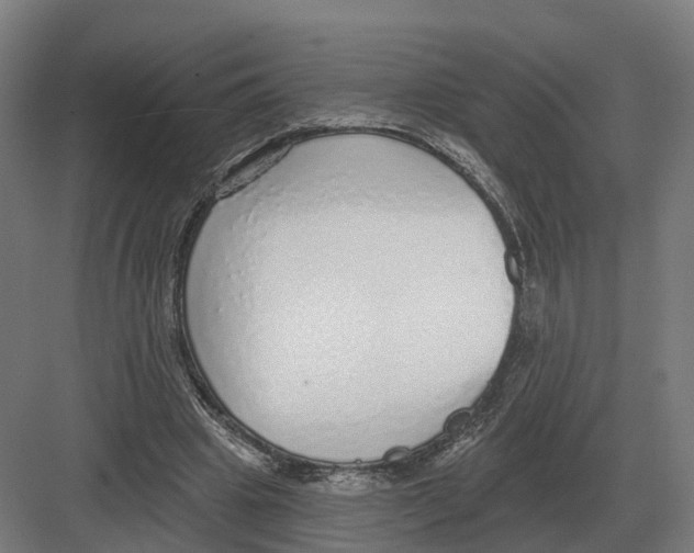 X0000082160441200702162238