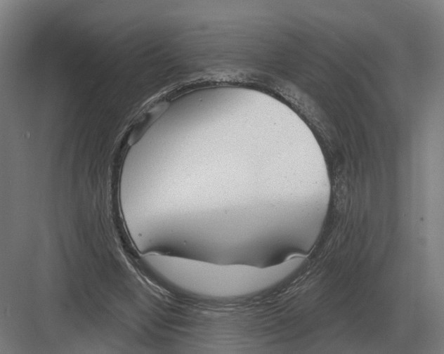 X0000082160442200702162238