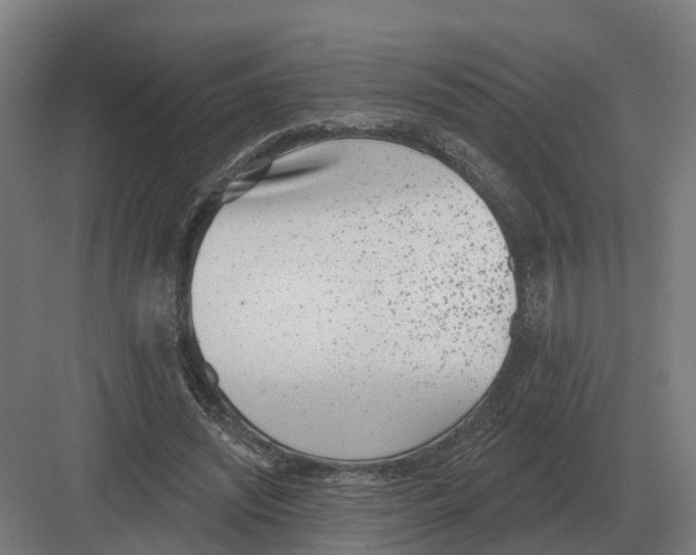 X0000082160444200702162238