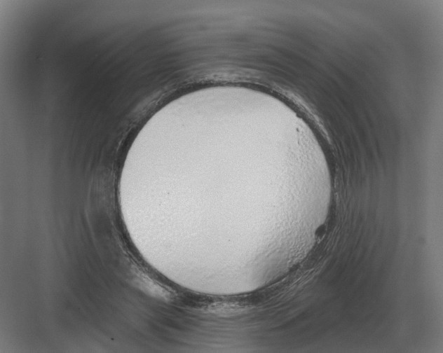 X0000082160445200702162238