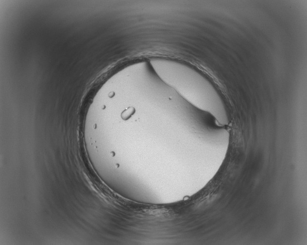 X0000082160446200702162238