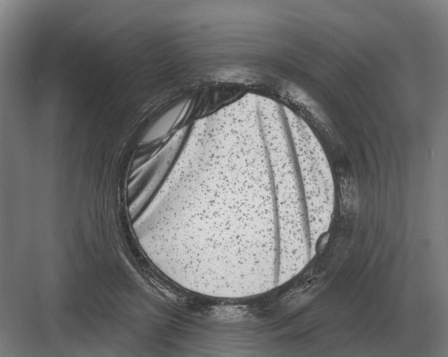 X0000082160451200702162238