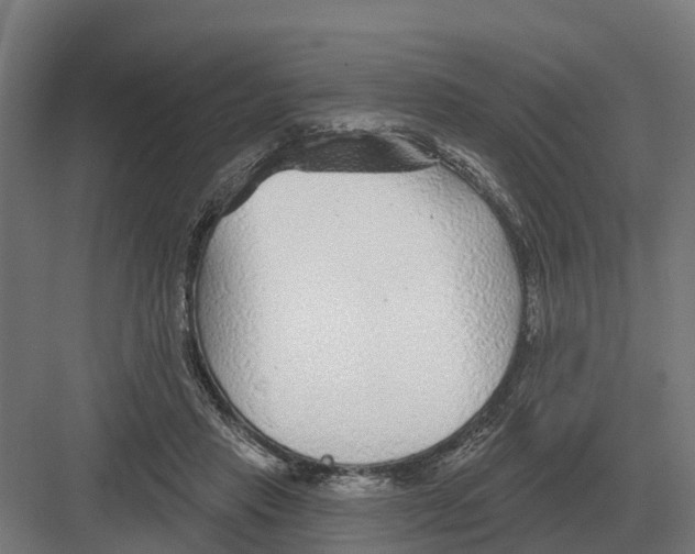 X0000082160453200702162239