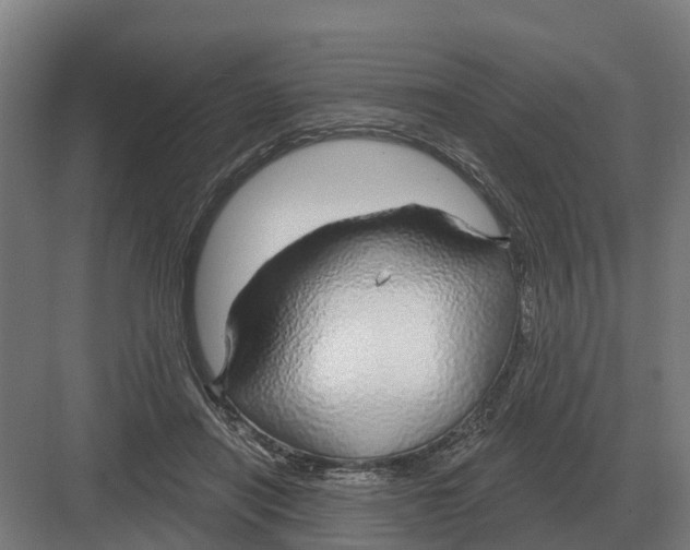 X0000082160454200702162239