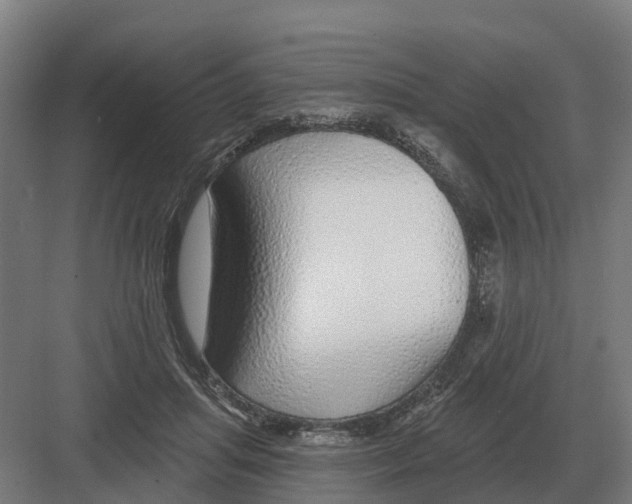 X0000082160455200702162239