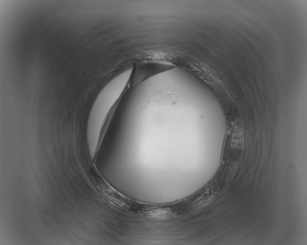 X0000082160456200702162239