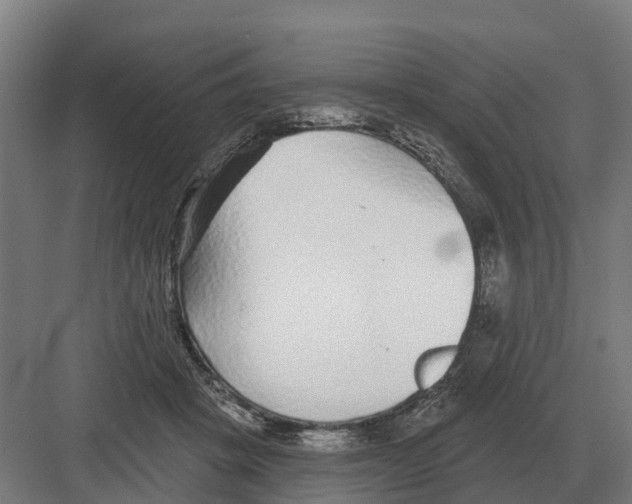 X0000082160457200702162239