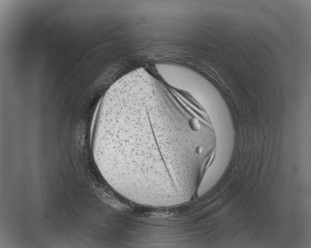 X0000082160458200702162239