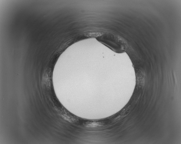 X0000082160460200702162239