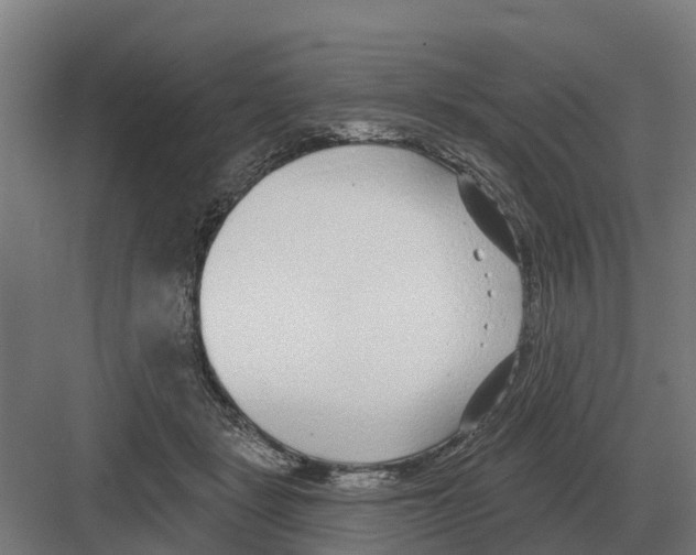 X0000082160461200702162239