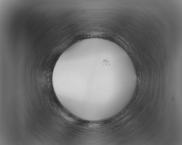 X0000082160462200702162239