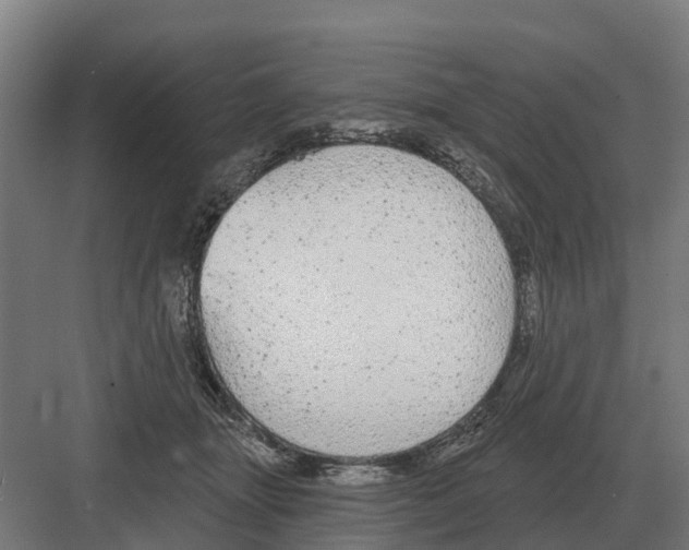 X0000082160463200702162239