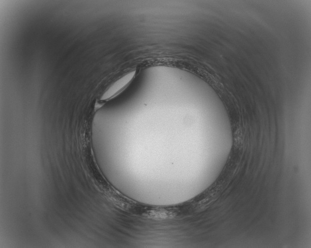 X0000082160464200702162239