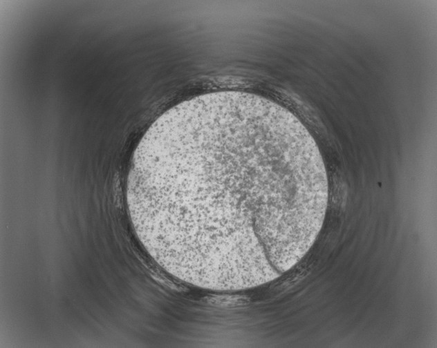 X0000082160465200702162239