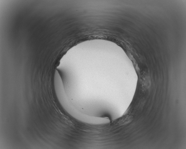 X0000082160466200702162239