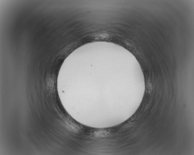 X0000082160468200702162239