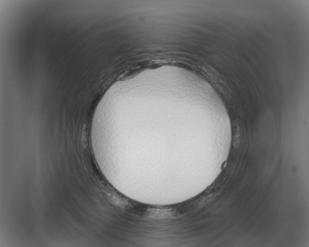 X0000082160469200702162239