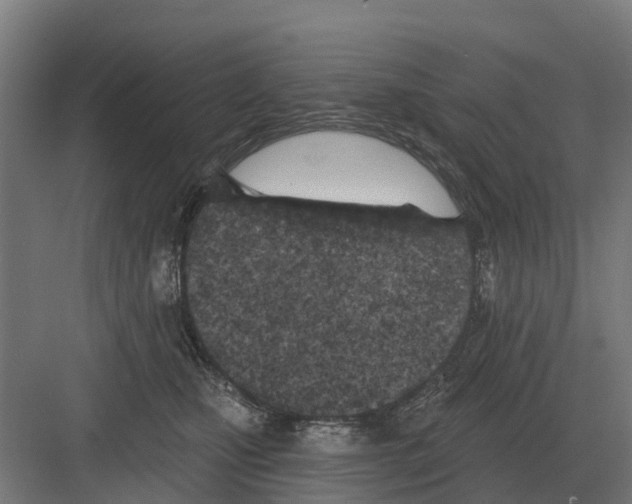 X0000082160471200702162239