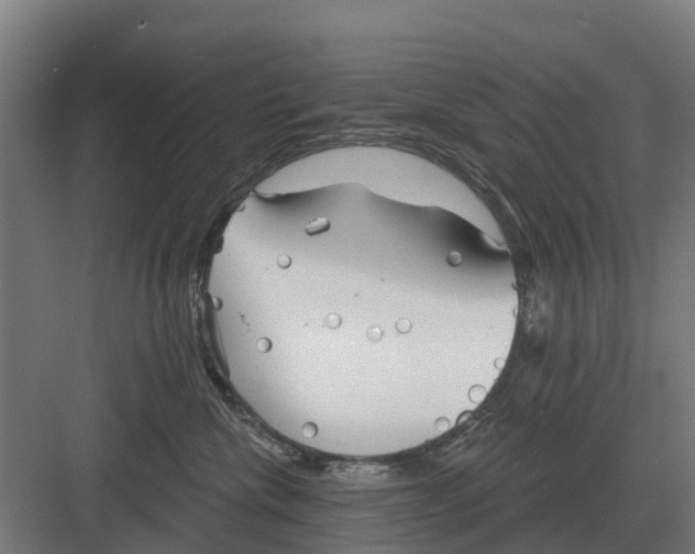 X0000082160476200702162239