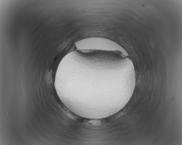 X0000082160478200702162239