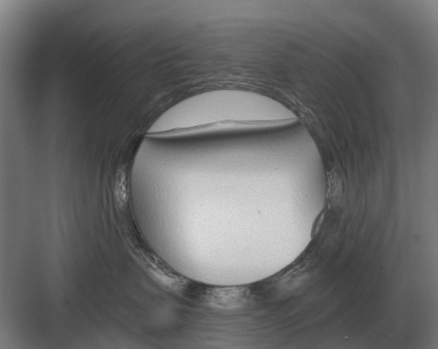 X0000082160479200702162239