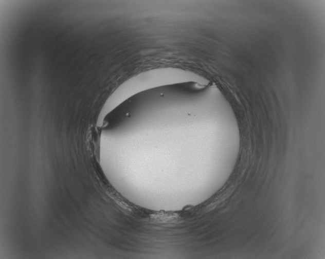 X0000082160480200702162239