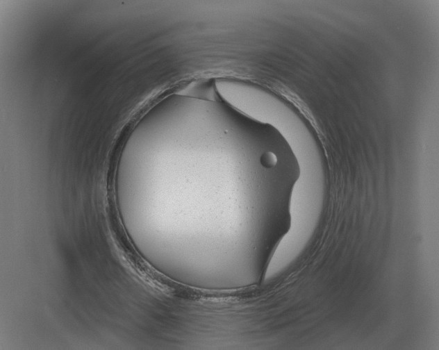 X0000082160482200702162238