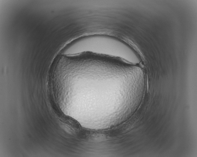 X0000082160483200702162238