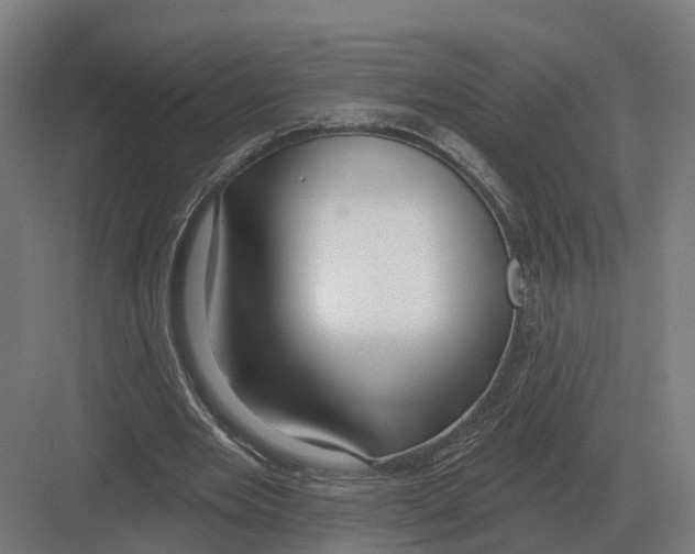 X0000082160485200702162238