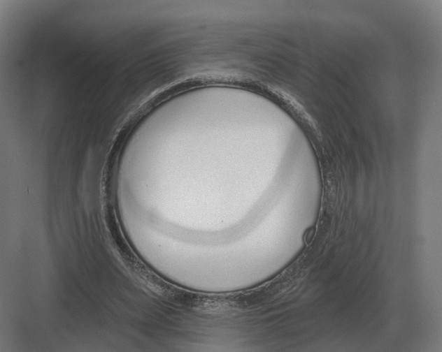 X0000082160487200702162238