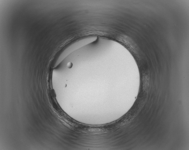 X0000082160490200702162238