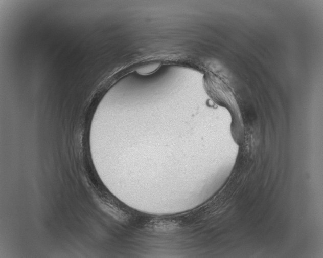 X0000082160491200702162238