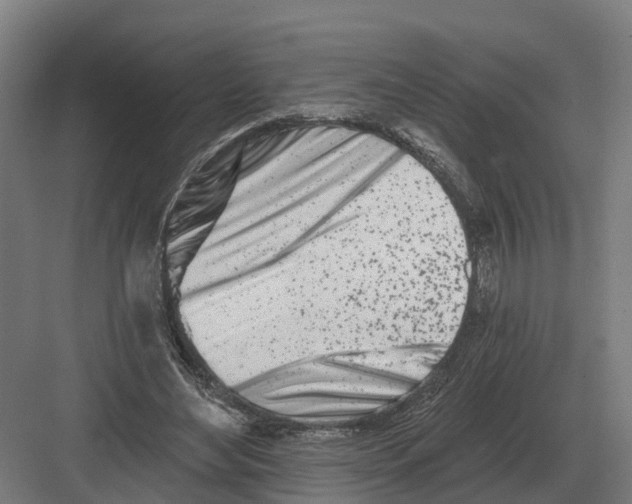 X0000082160492200702162238