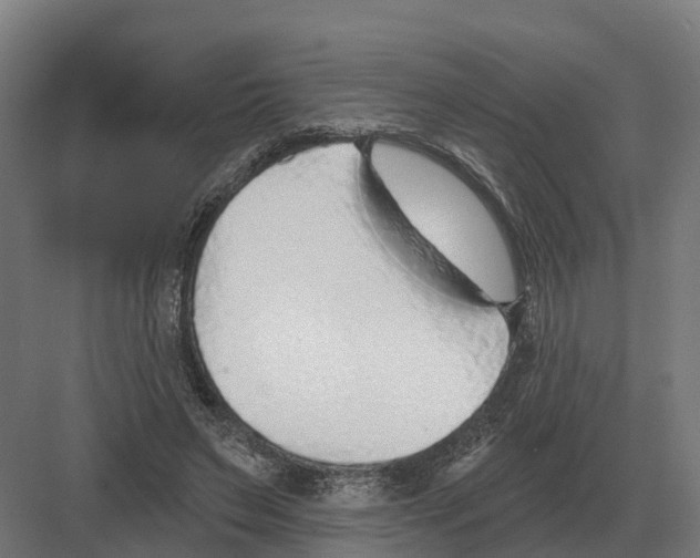 X0000082160495200702162238