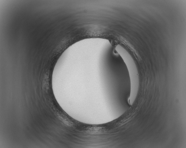 X0000082160497200702162238