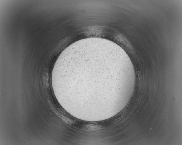 X0000082160498200702162238