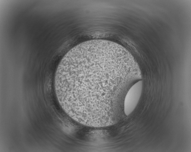 X0000082160499200702162238