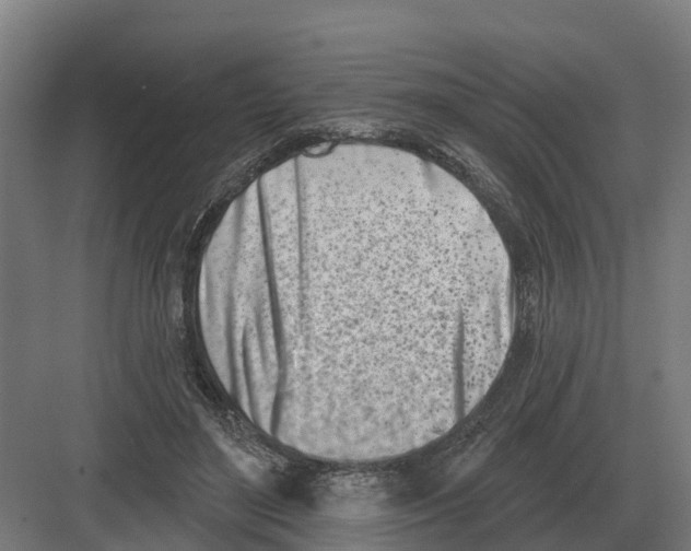 X0000082160500200702162238