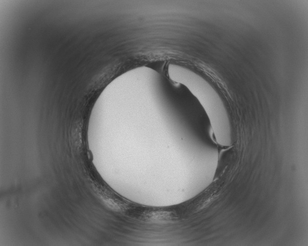 X0000082160501200702162238