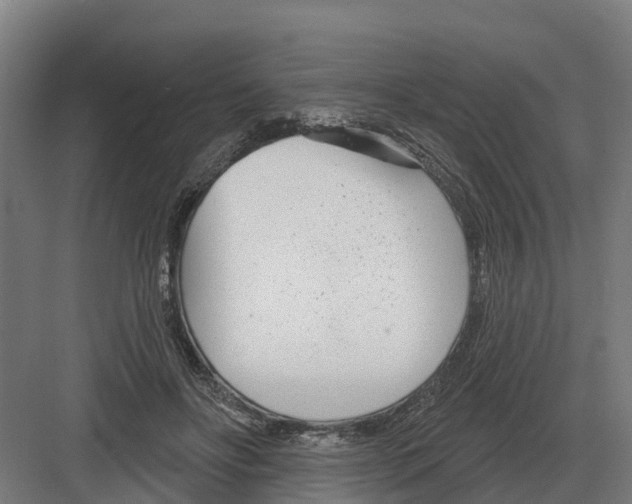 X0000082160502200702162238