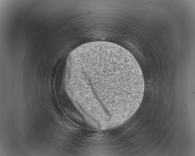 X0000082160504200702162238