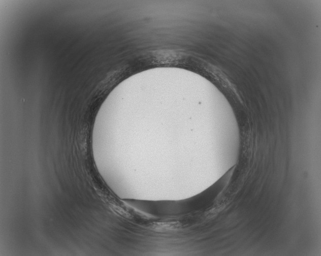 X0000082160505200702162238