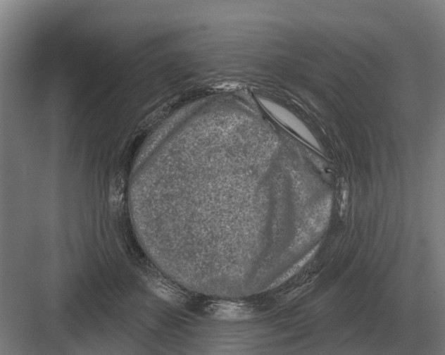 X0000082160507200702162238