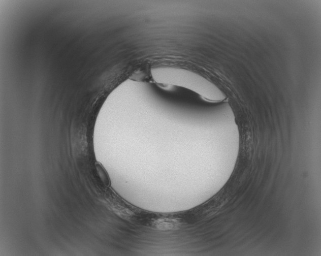 X0000082160508200702162238