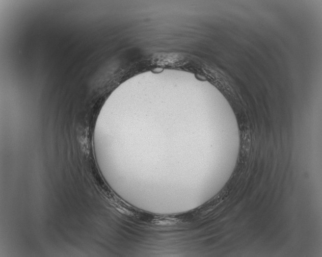 X0000082160510200702162238