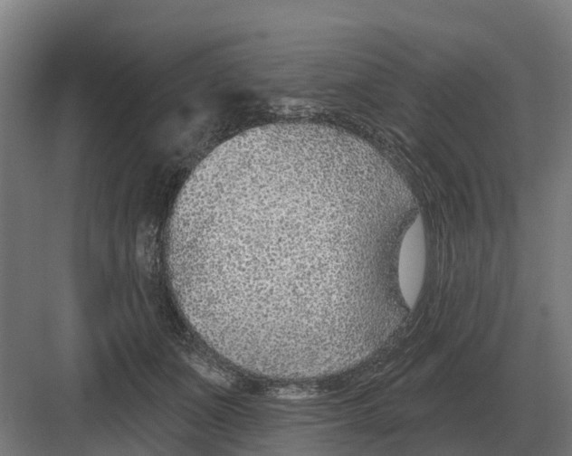 X0000082160511200702162238