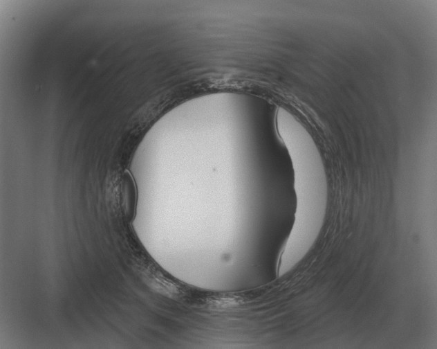 X0000082160513200702162238